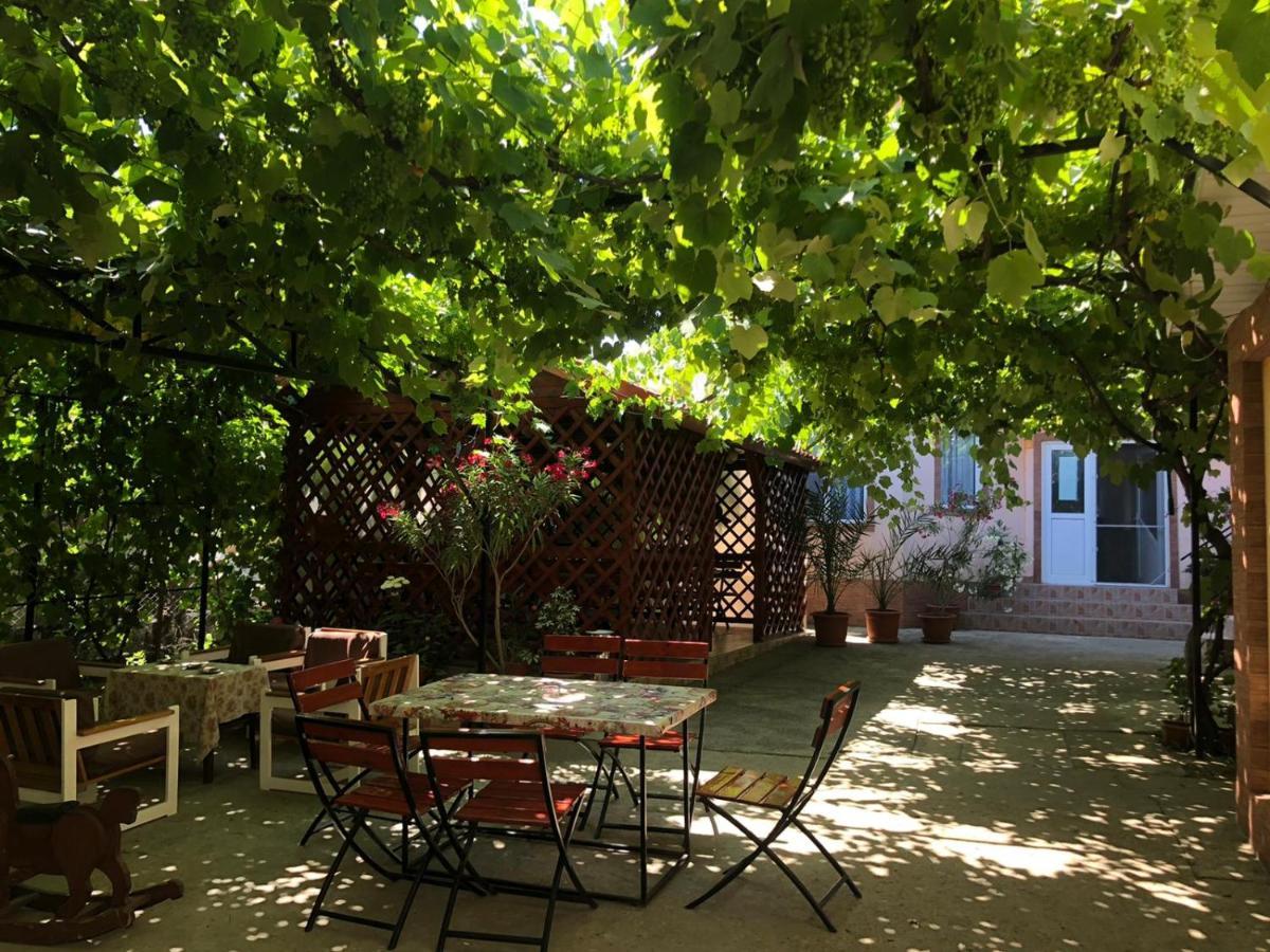 Casa Dasoveanu Костинешти Экстерьер фото